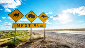 Australien Südaustralien Eyre Highway Nullarbor Foto SATC Greg Snell